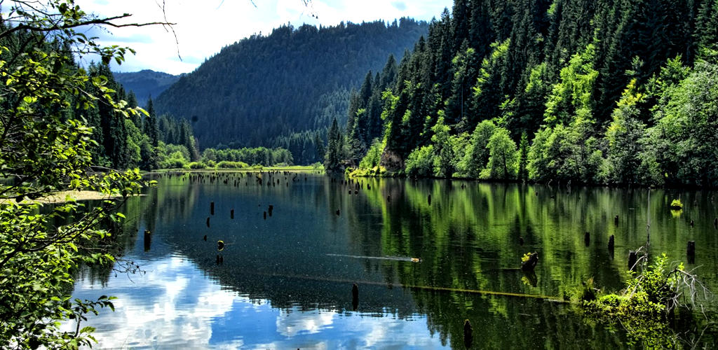 Lacul Roșu - Cheile Bicazului